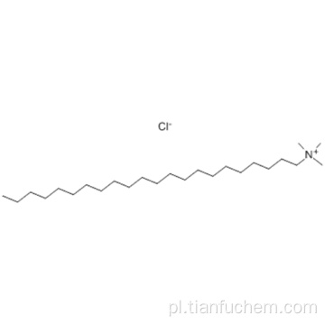1-Docosanaminium, N, N, N-trimetylo-, chlorek (1: 1) CAS 17301-53-0